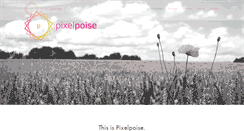 Desktop Screenshot of pixelpoise.com